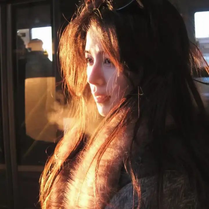 纵使相逢应不识